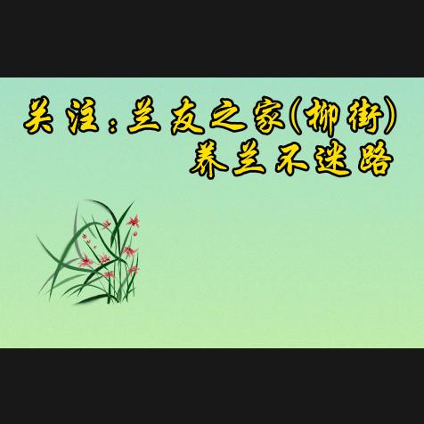 柳街兰友之家