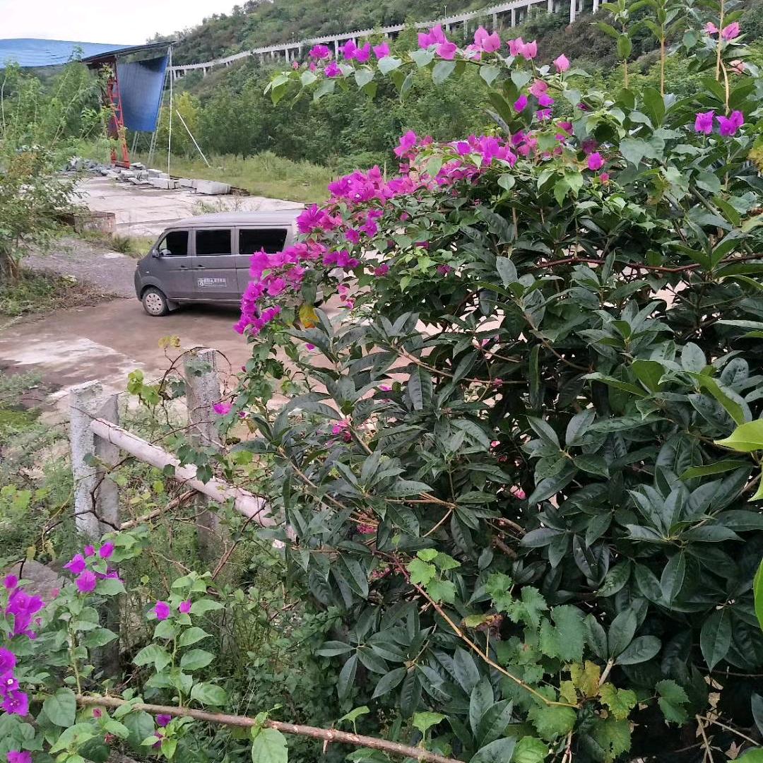 小兰姐