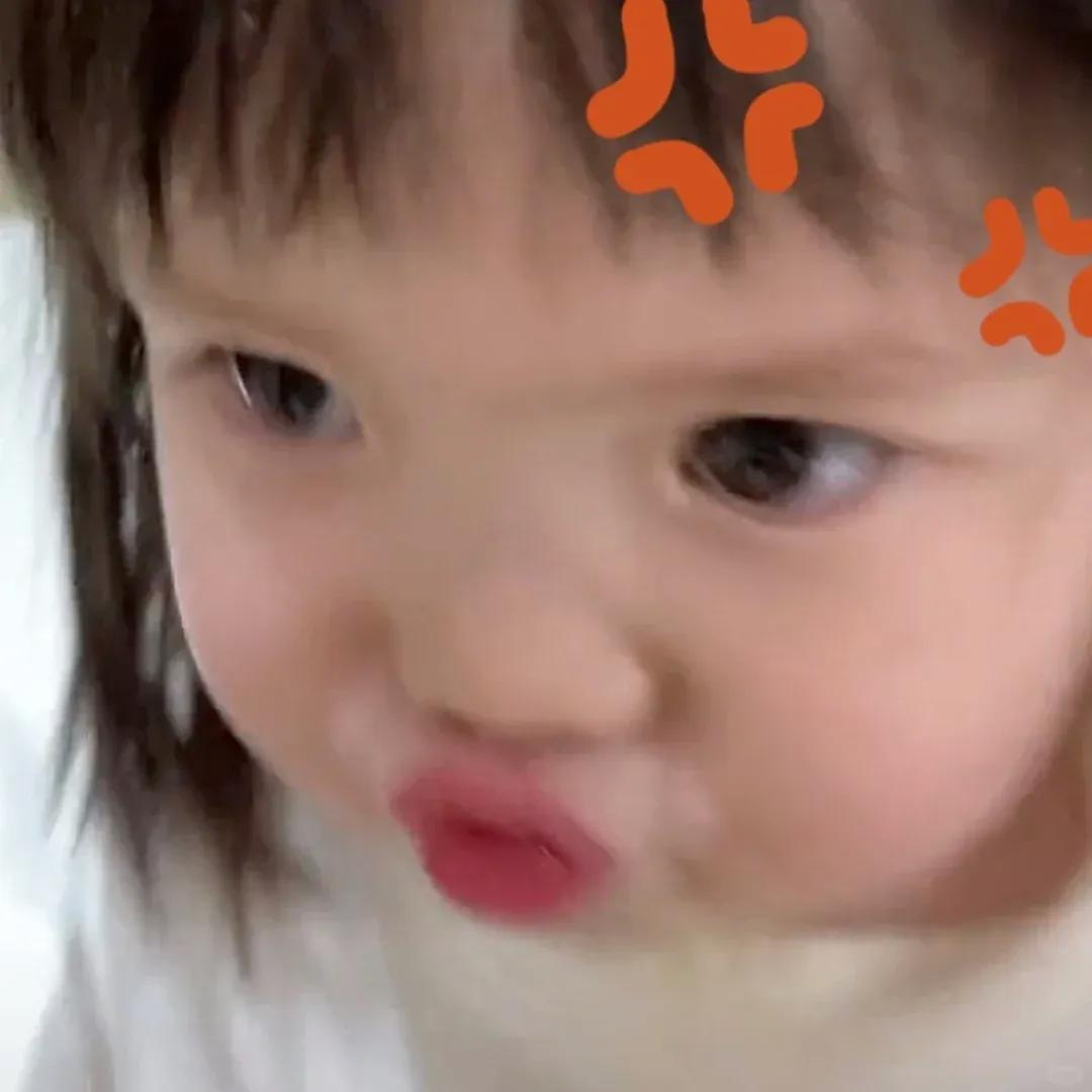喵喵鱼