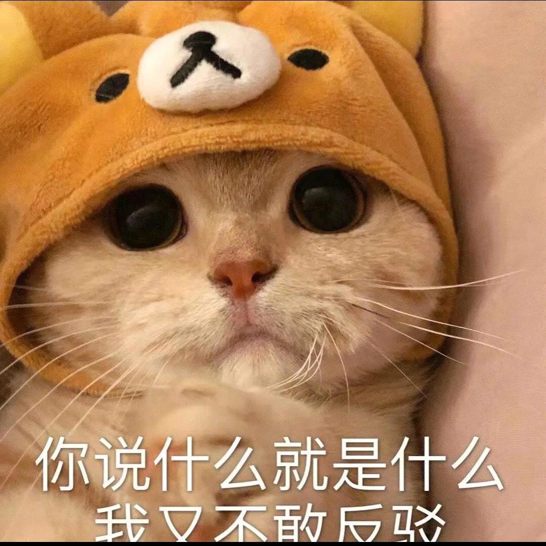 星空进行柠