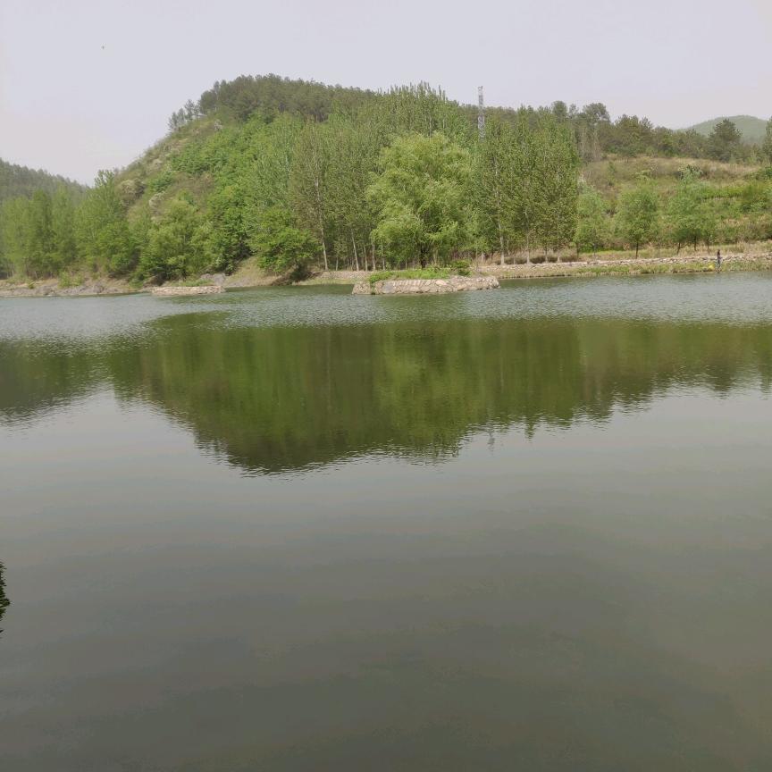 开心