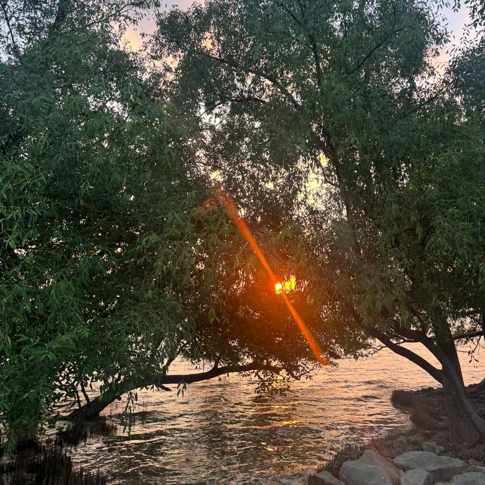 🐬一切随缘🐬