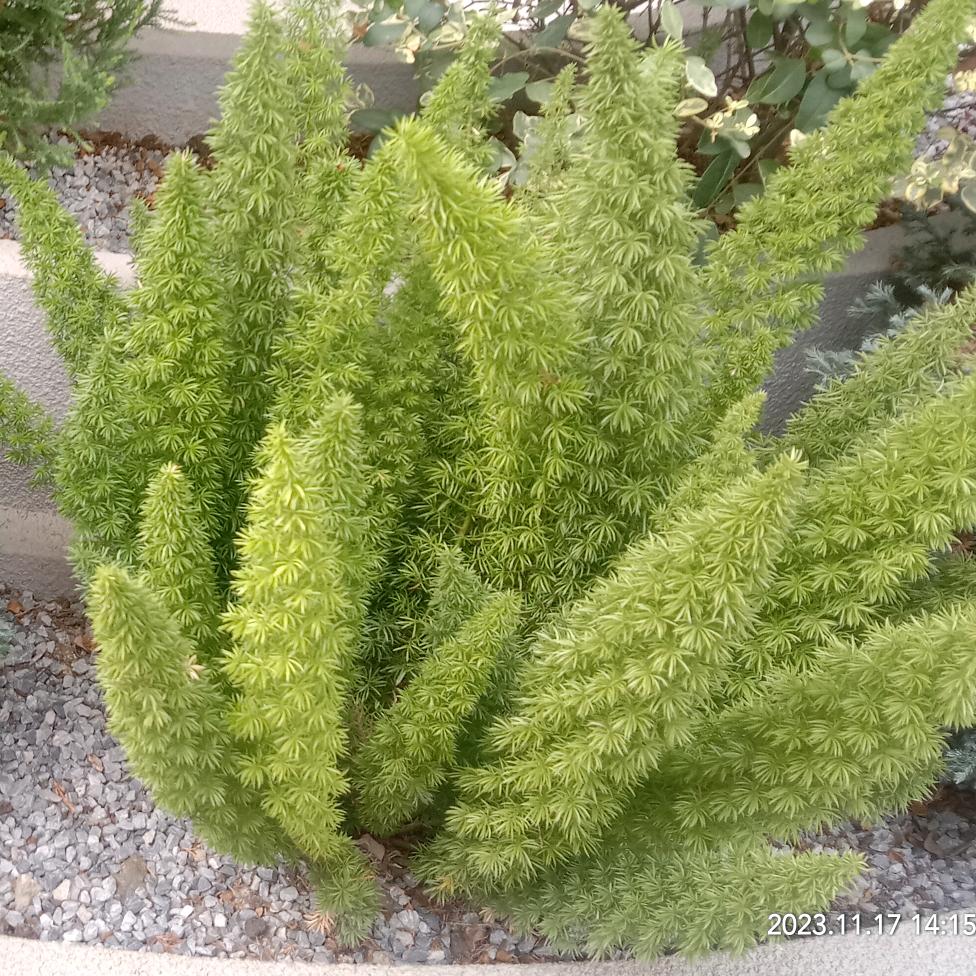 一生有你真好(＠