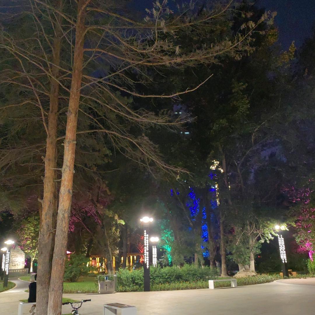 石油