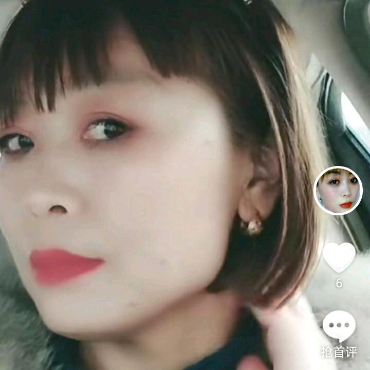 一枝梅