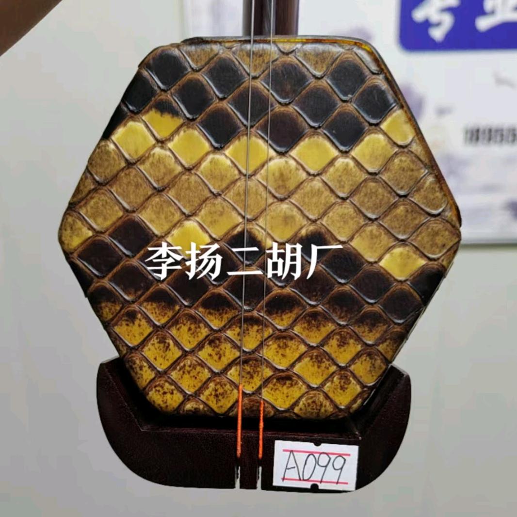 李扬二胡，皖胡韵。
