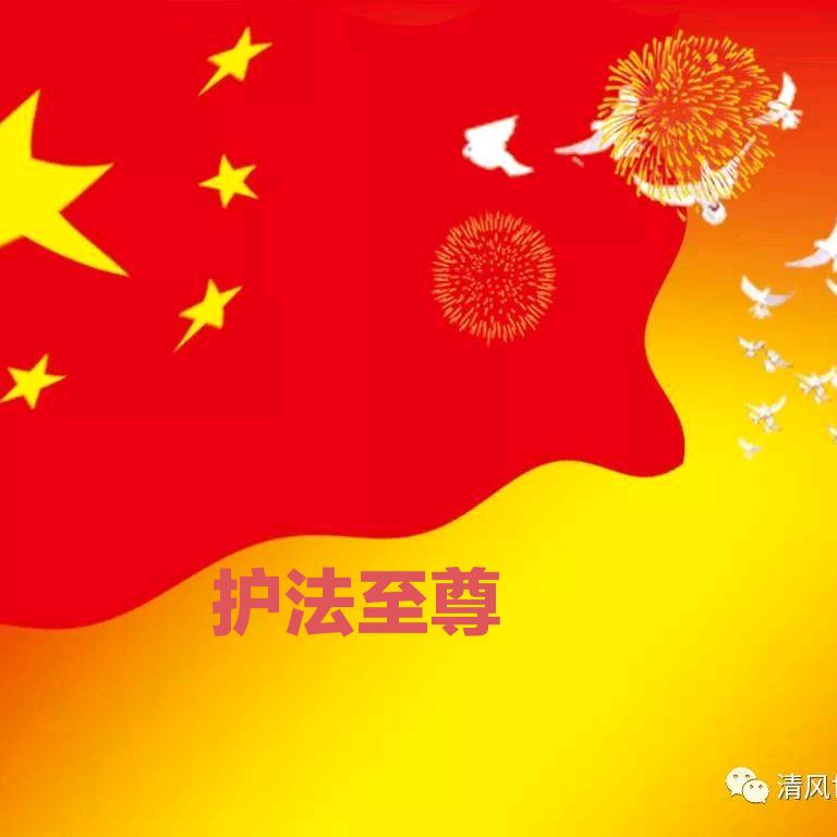 护法至尊