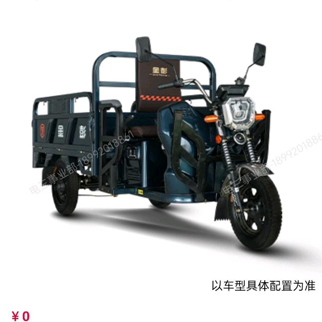 周城富强金彭电动车