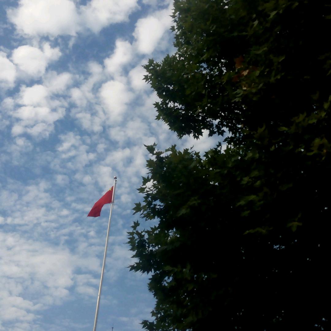 但行善事 莫问前程