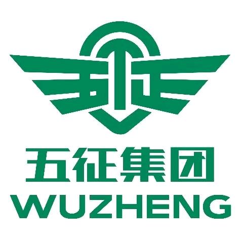 五征电动（临沂五征秦哥）华太电小锂铁锂