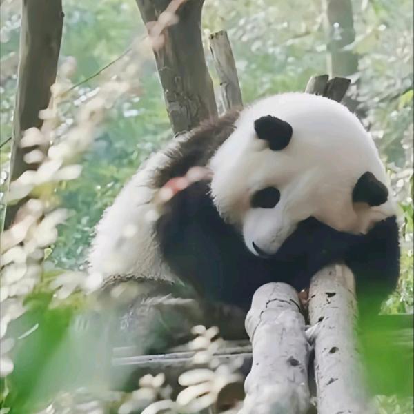 遇见你真好