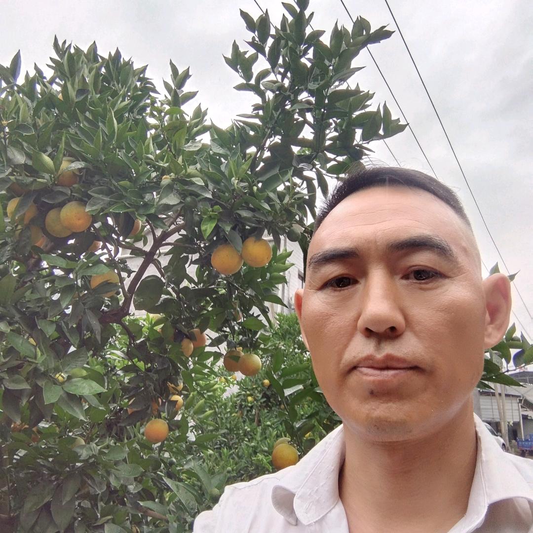 相念
