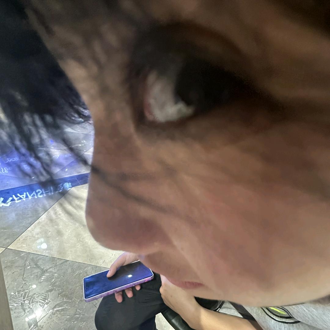 让我康康（终极角逐）