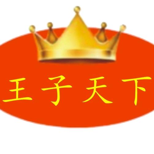 王子天下老街集团