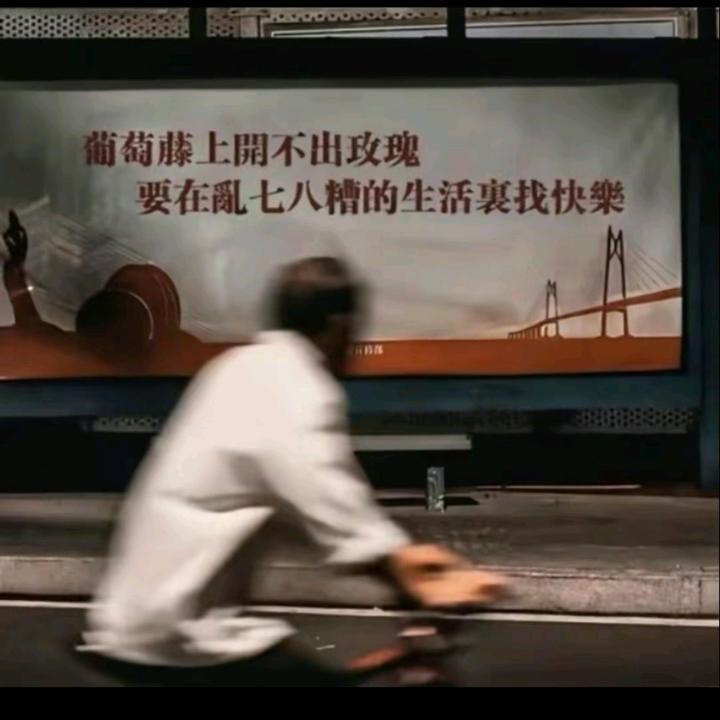 一束白菊