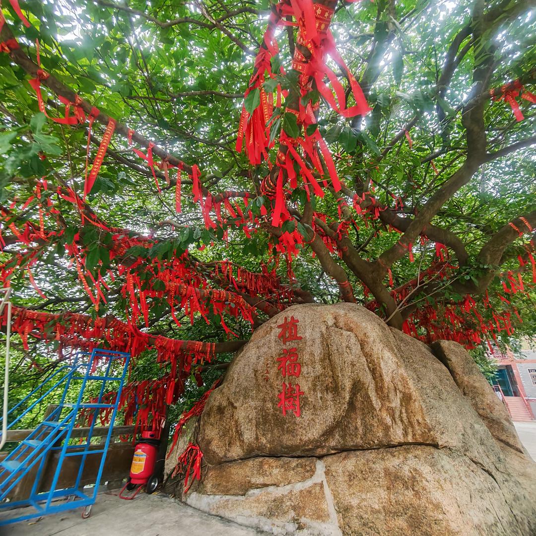 80后宝妈爱做美食