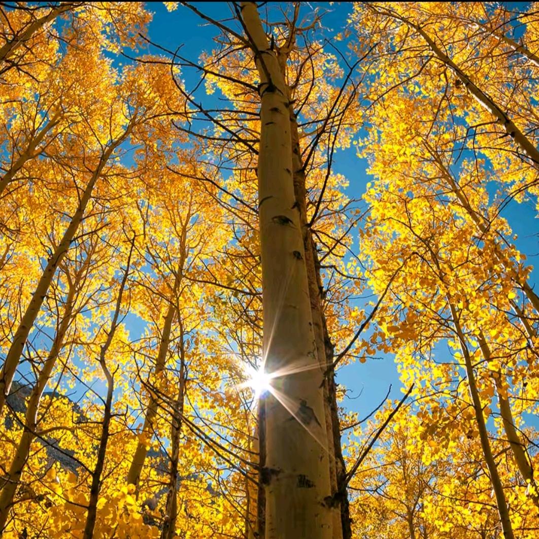 错过了缘分错过了太多