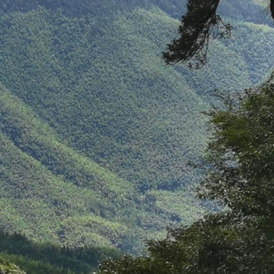 越过山丘