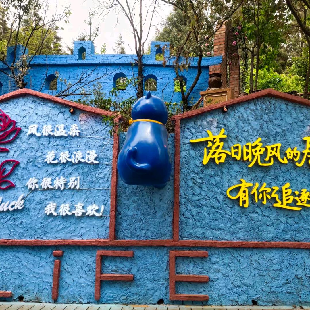 一只笨笨木梨吖