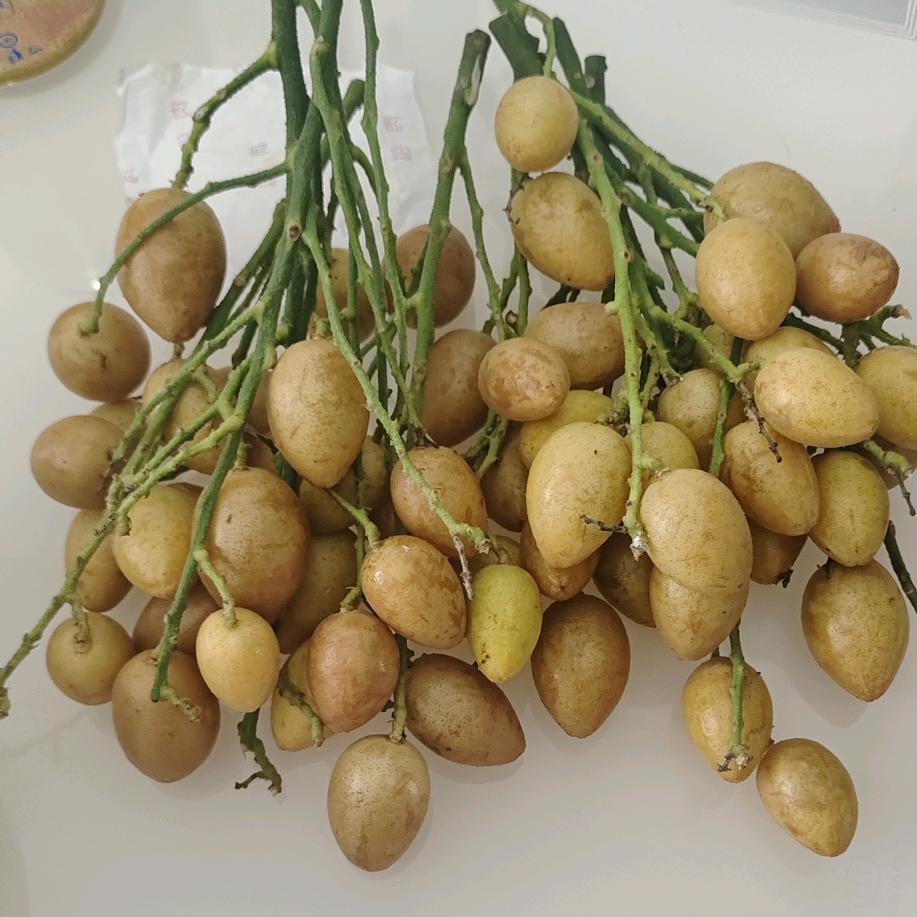 顺财马姐☀️☀️