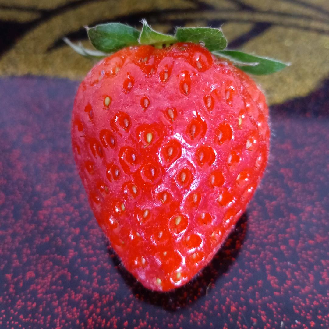 开开心心的每一天