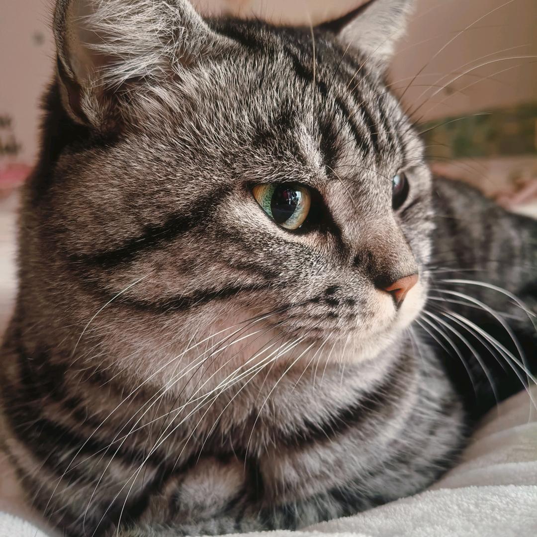 呀！是六一呀😁