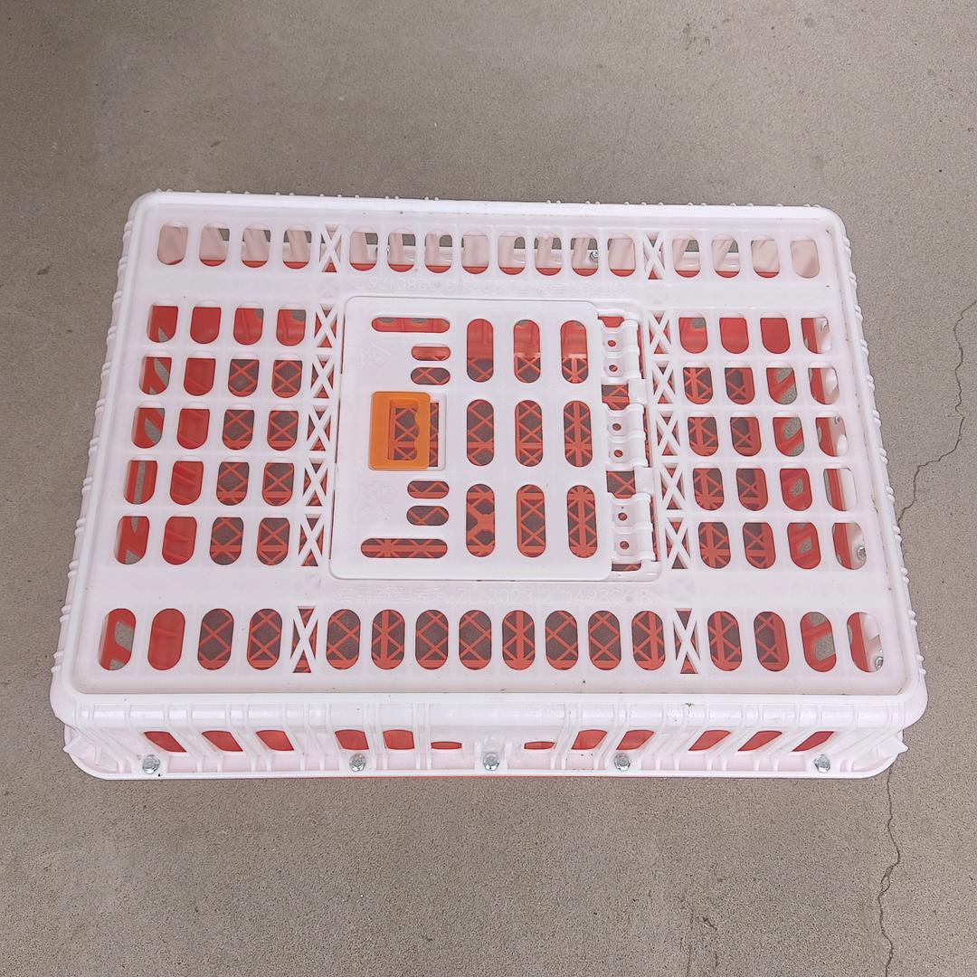 活禽运输🐔笼销售