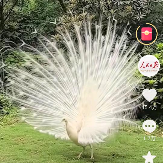 历害了，我的国