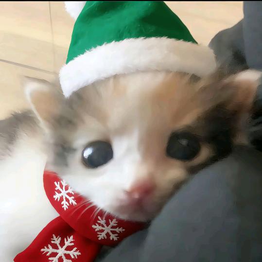 追随心中的丽江