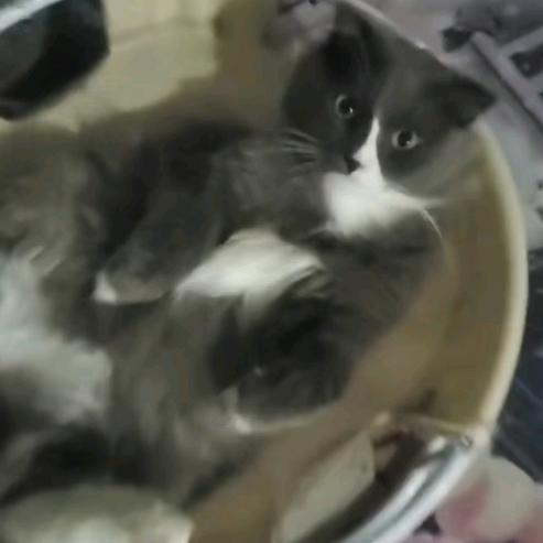 》該死的溫柔《