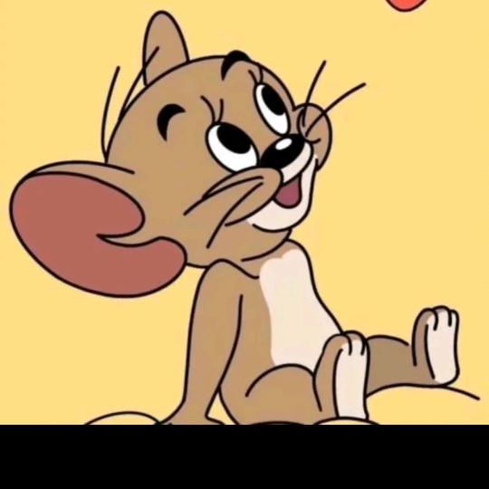 Y、Y