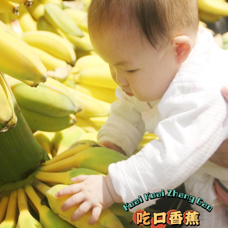 小小冯