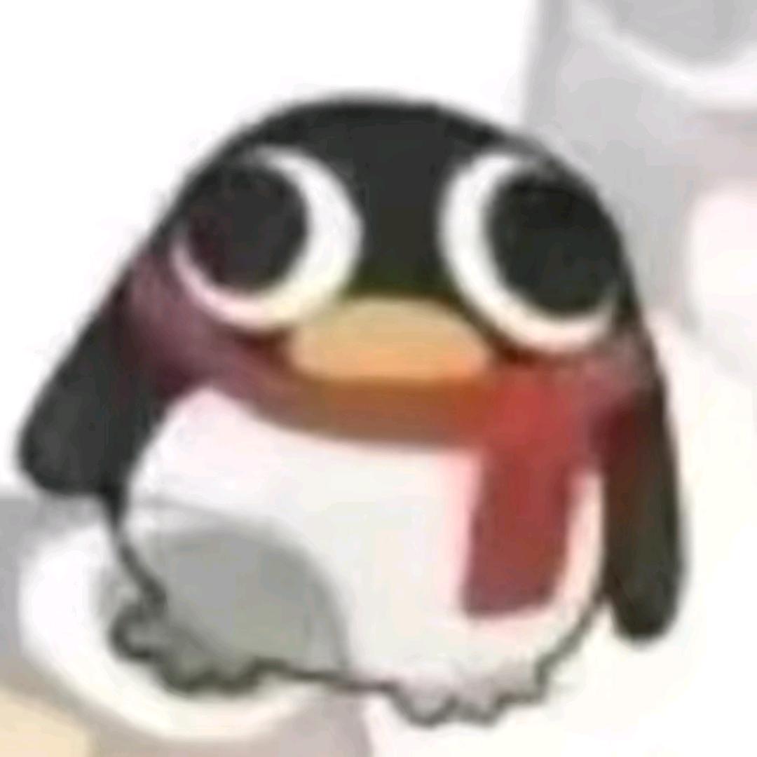 王N博_