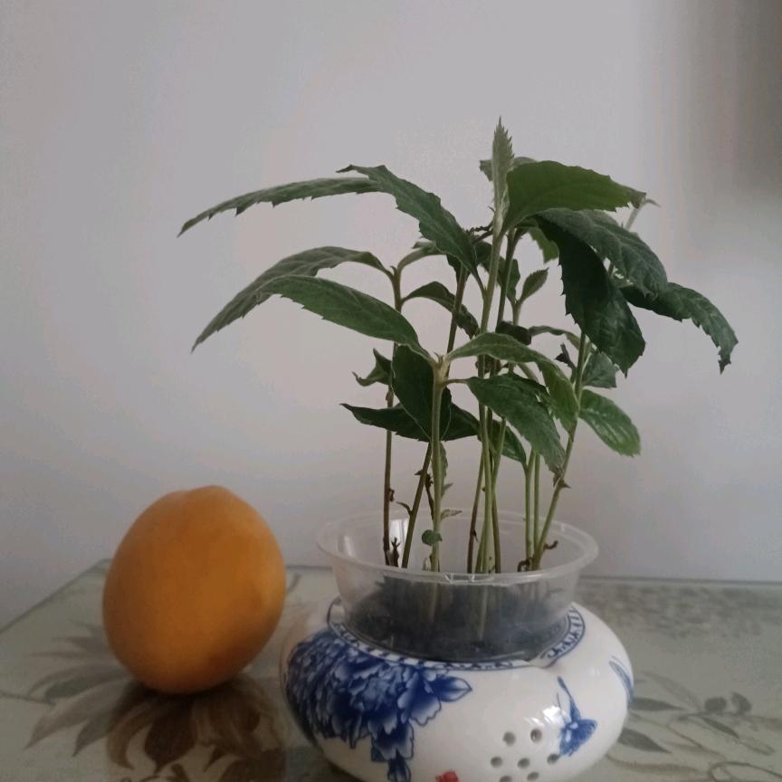从容的转身