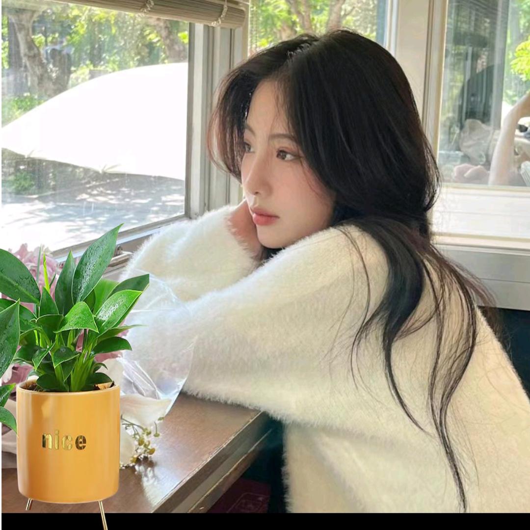 心向阳光🔥