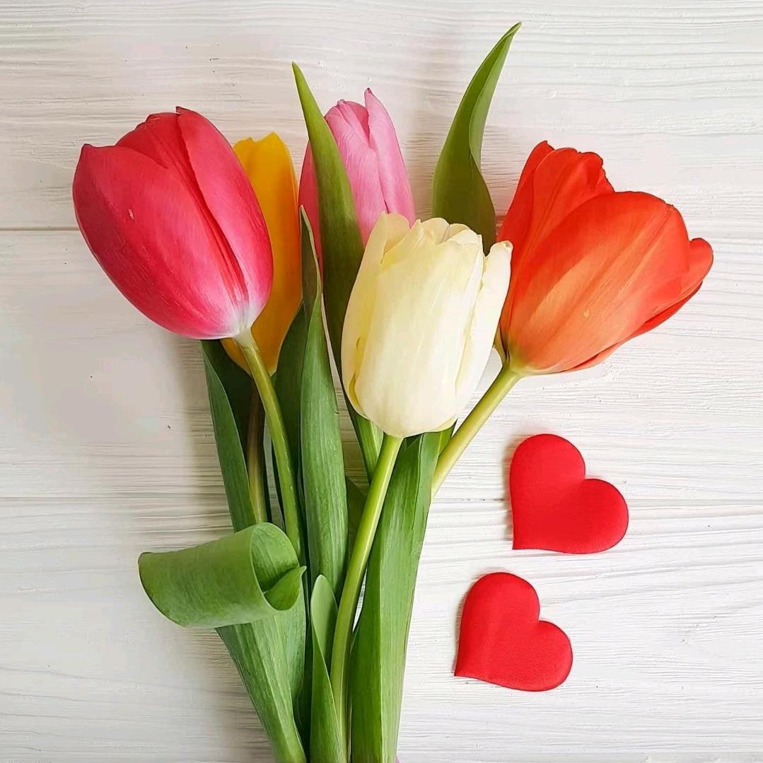 ꧔ꦿ᭄余生💞有你᭄࿐