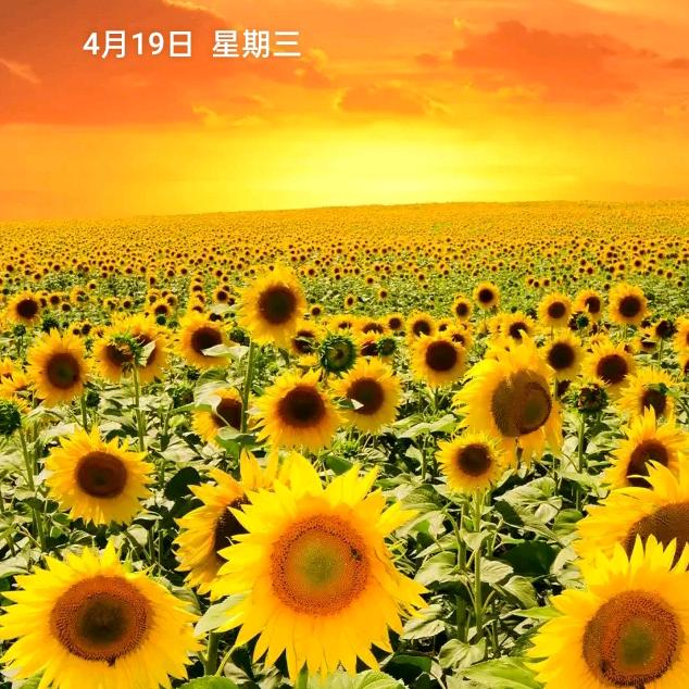 开心❤