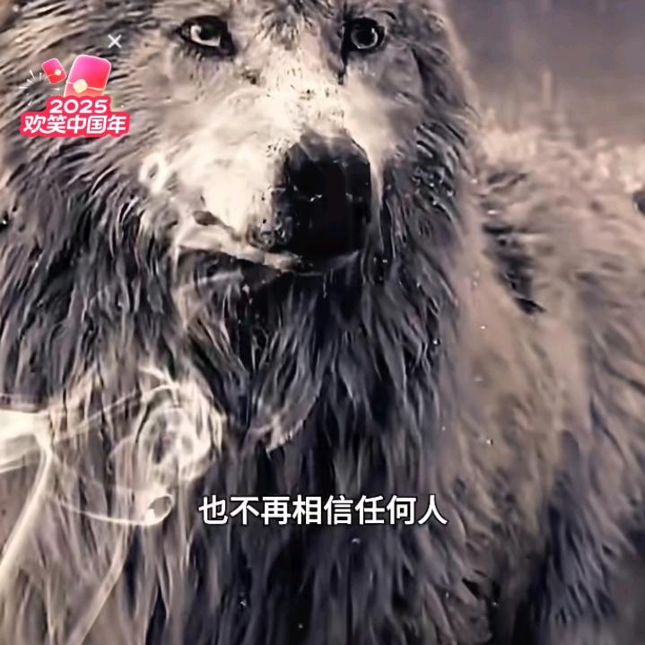 孤狼
