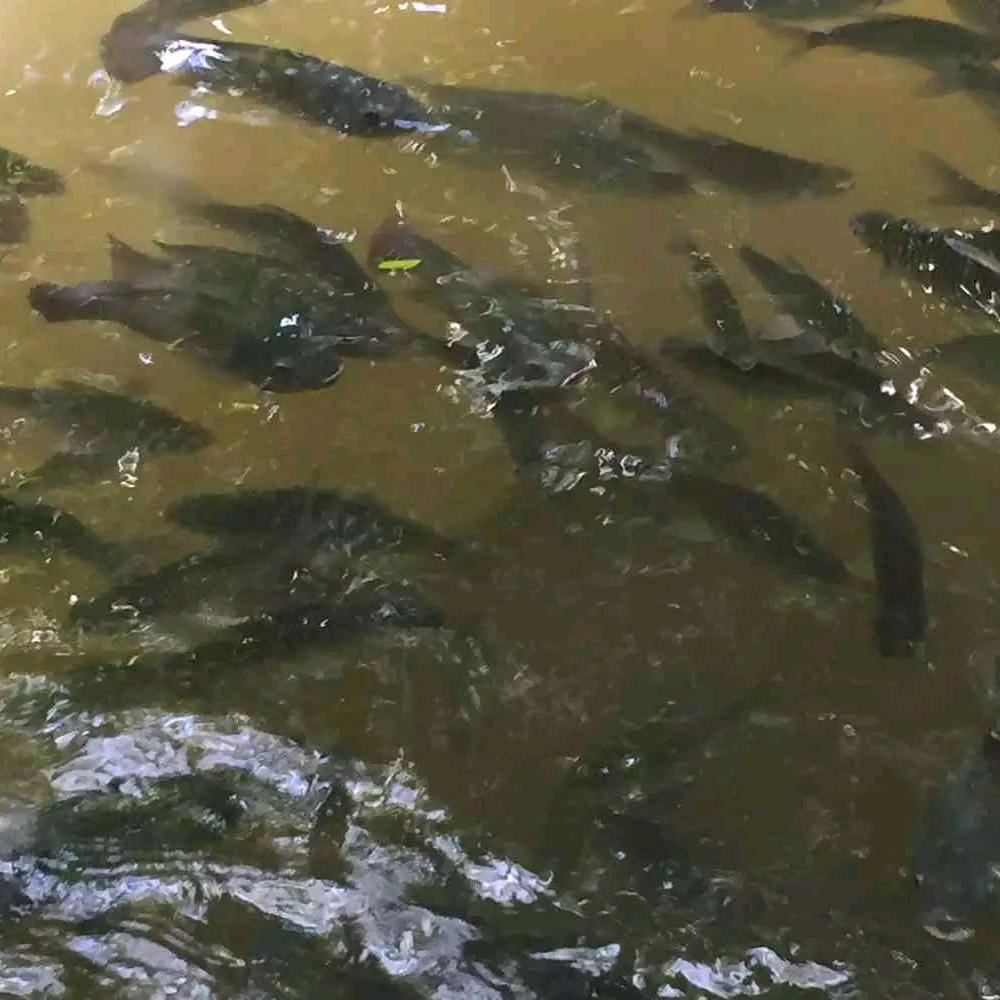 ღℳค馬ོꦿ࿐