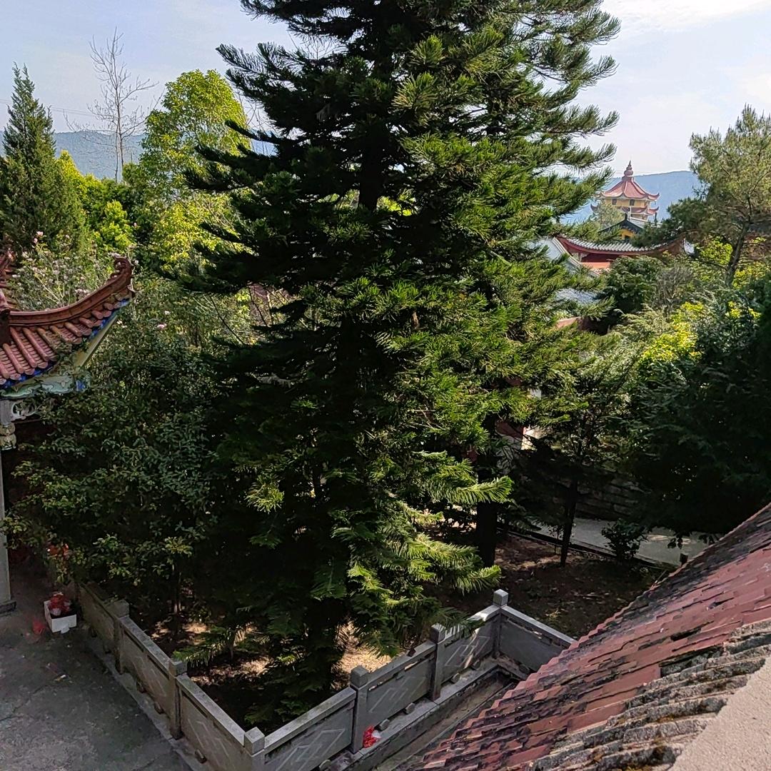 欧翻片多元百货小铺