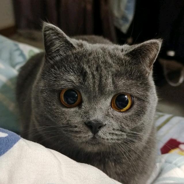 🍓