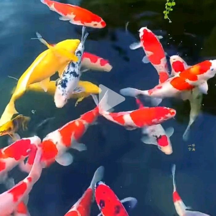 用户23588971头像