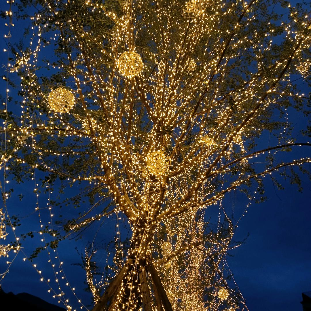 ٩(๛ ˘ ³˘)۶♥席惯有你🌟💫