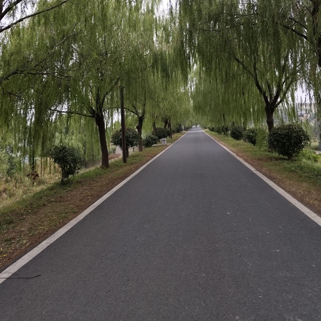 梦已不再