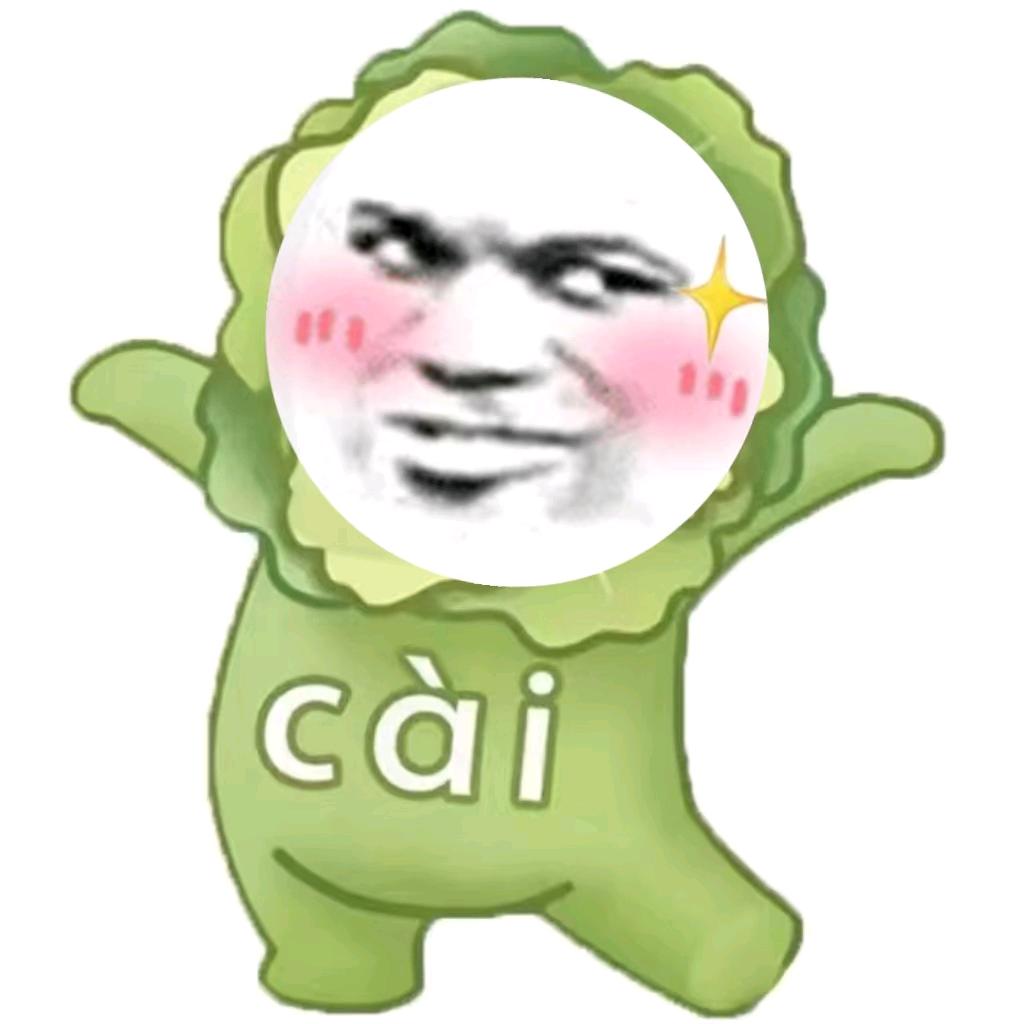 菜狗（弯妹妹）