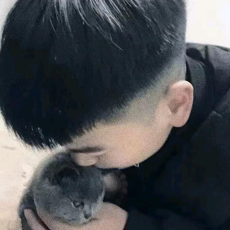 ㅤㅤㅤ    ㅤ ㅤ