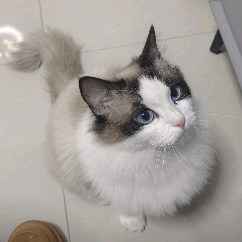 细思鼻孔