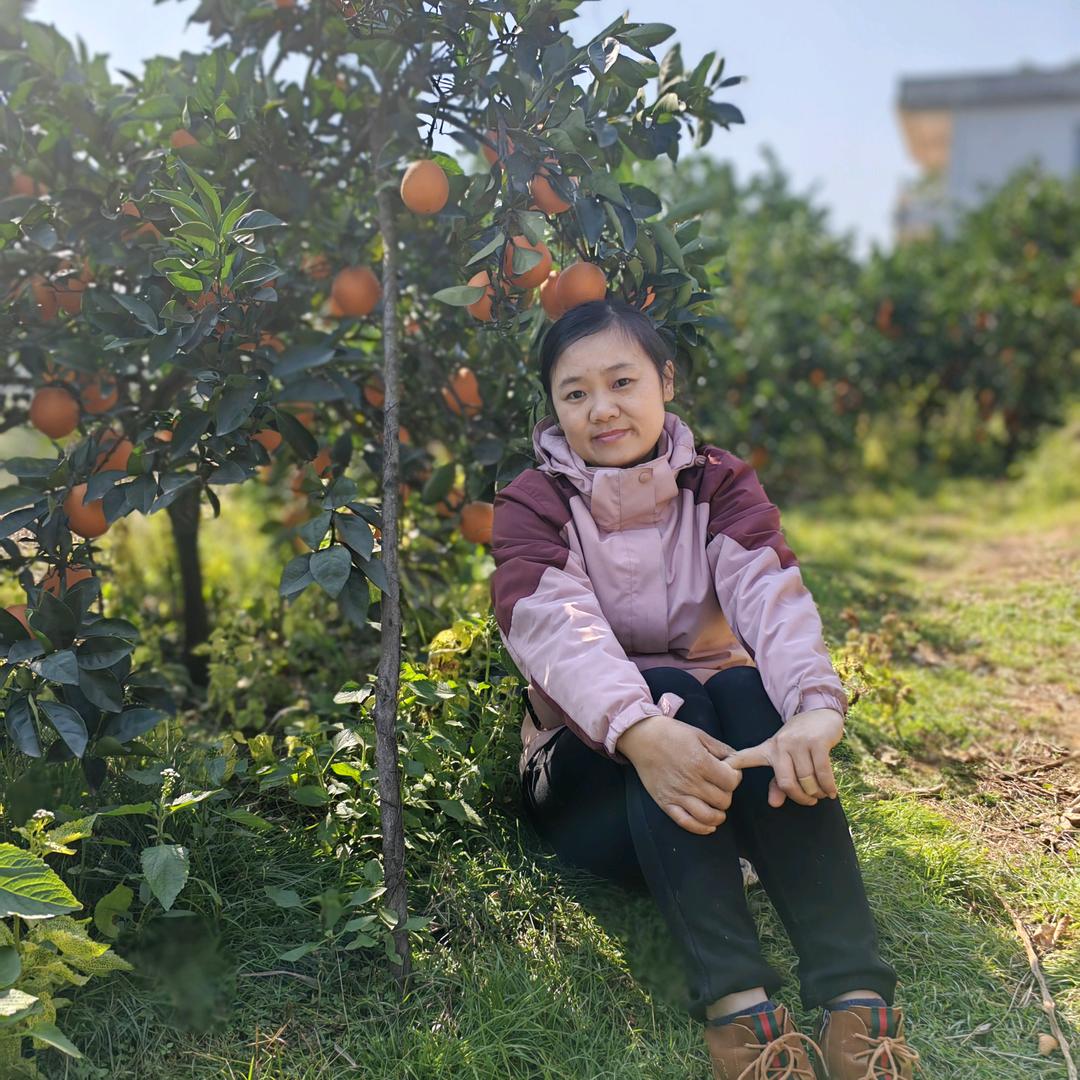 信丰莉莉园艺绿植盆栽批发+赣南脐橙