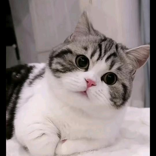 一个好人