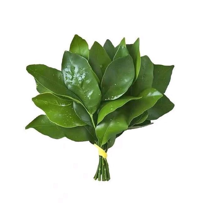 我要饿死了